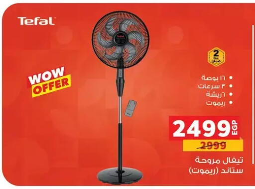 available at بنده in Egypt - القاهرة
