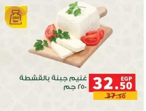 available at بنده in Egypt - القاهرة