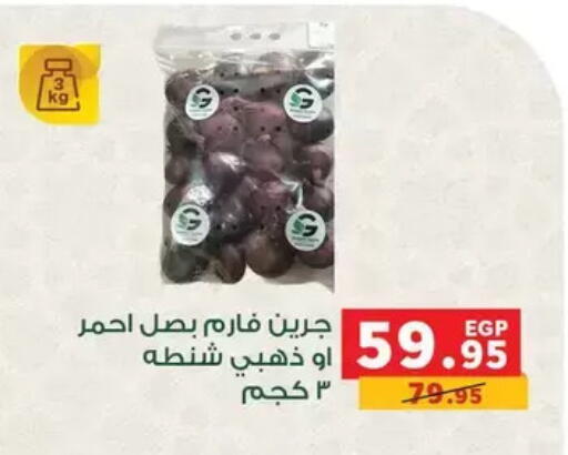 available at بنده in Egypt - القاهرة