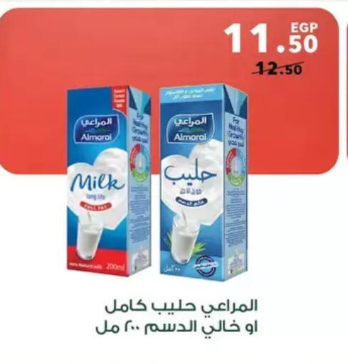 available at Panda  in Egypt - Cairo