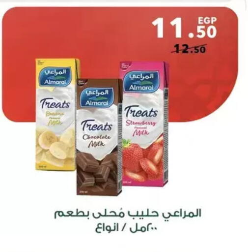 available at Panda  in Egypt - Cairo