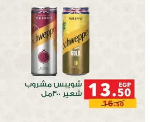 available at بنده in Egypt - القاهرة