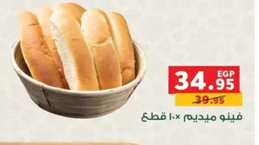available at بنده in Egypt - القاهرة