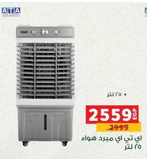 available at Panda  in Egypt - Cairo