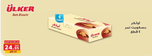 Date available at بنده in Egypt - القاهرة
