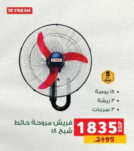 available at بنده in Egypt - القاهرة