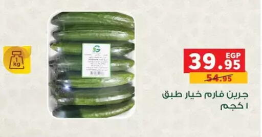 available at بنده in Egypt - القاهرة