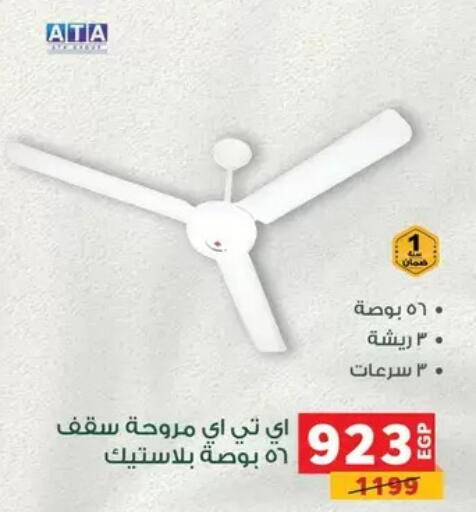 available at بنده in Egypt - القاهرة