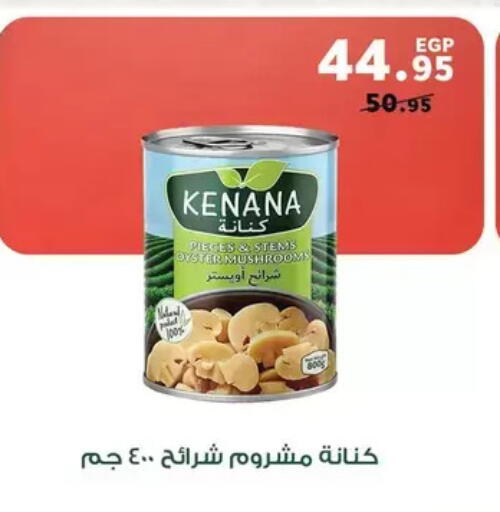 Mushroom available at بنده in Egypt - القاهرة