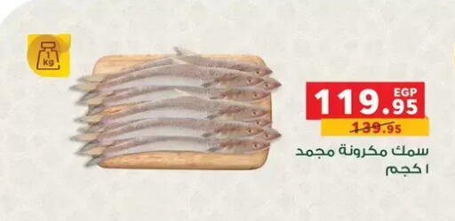 available at بنده in Egypt - القاهرة