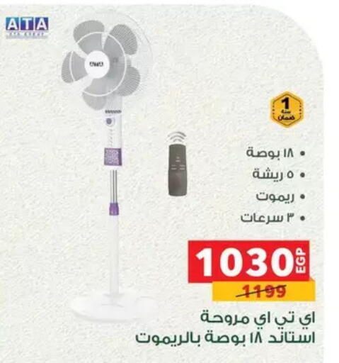 available at بنده in Egypt - القاهرة