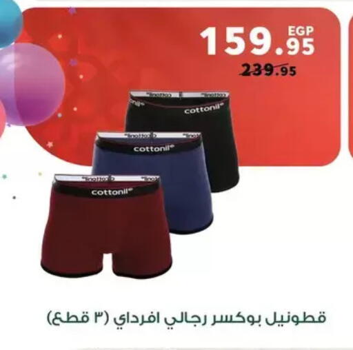 available at Panda  in Egypt - Cairo