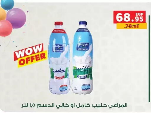 available at Panda  in Egypt - Cairo