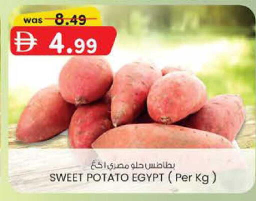 Sweet Potato from Egypt available at K M Trading  in UAE - Abu Dhabi