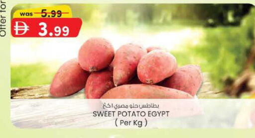 Sweet Potato from Egypt available at K M Trading  in UAE - Sharjah / Ajman