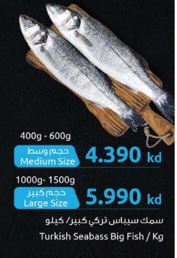 available at The Sultan Center in Kuwait - Jahra Governorate