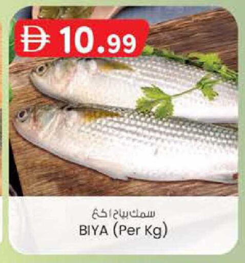 available at ك. الم. للتجارة in الإمارات العربية المتحدة , الامارات - الشارقة / عجمان