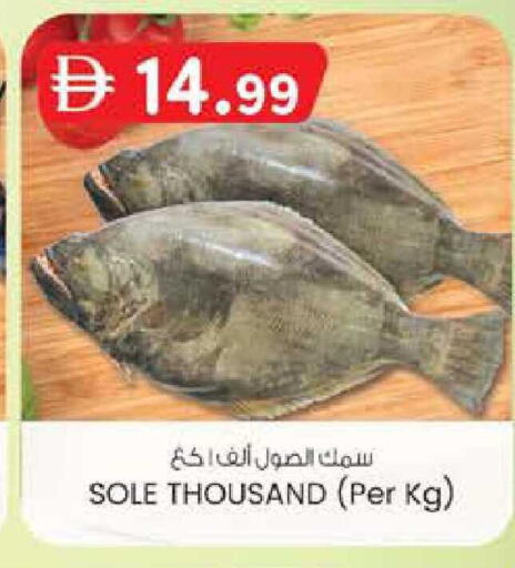 available at ك. الم. للتجارة in الإمارات العربية المتحدة , الامارات - الشارقة / عجمان
