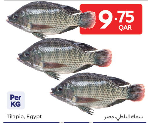 available at كارفور in قطر - الدوحة