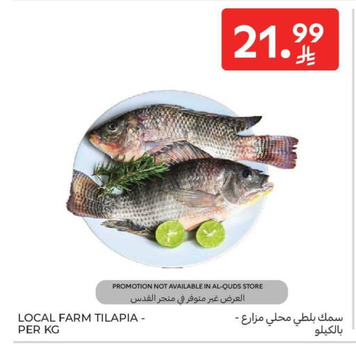 available at كارفور in مملكة العربية السعودية, السعودية, سعودية - المنطقة الشرقية