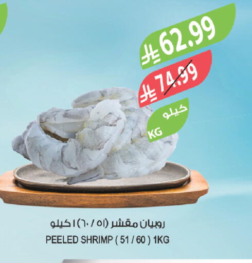 available at المزرعة in مملكة العربية السعودية, السعودية, سعودية - نجران