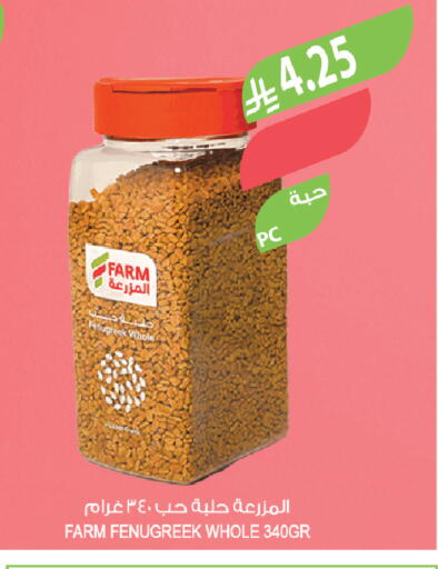 Fenugreek available at Farm  in KSA, Saudi Arabia, Saudi - Tabuk