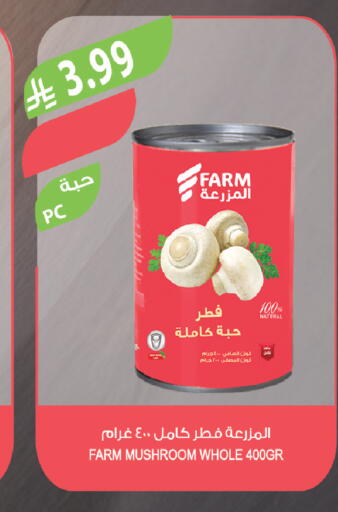 Mushroom available at Farm  in KSA, Saudi Arabia, Saudi - Yanbu