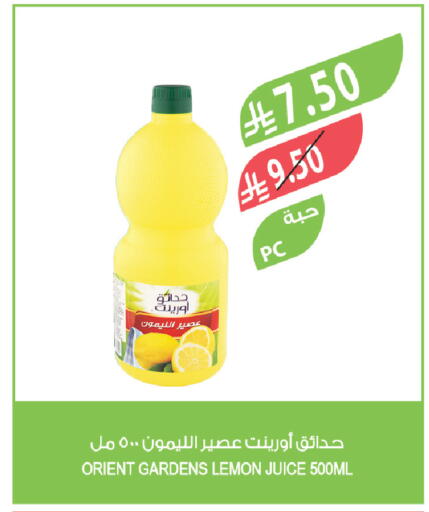 Lemon available at Farm  in KSA, Saudi Arabia, Saudi - Tabuk