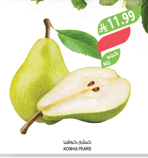 available at المزرعة in مملكة العربية السعودية, السعودية, سعودية - تبوك