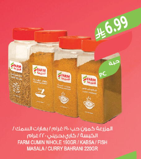 Cumin available at Farm  in KSA, Saudi Arabia, Saudi - Tabuk