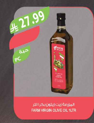 available at المزرعة in مملكة العربية السعودية, السعودية, سعودية - تبوك