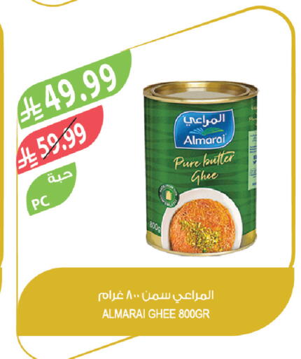 available at المزرعة in مملكة العربية السعودية, السعودية, سعودية - تبوك