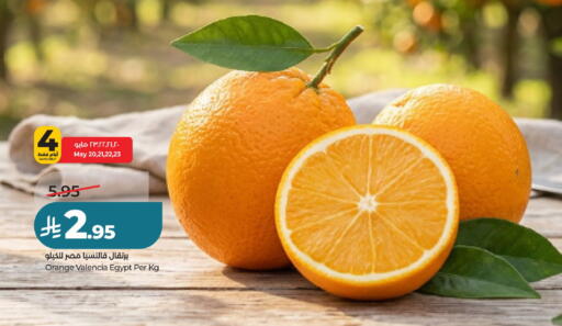 Orange from Egypt available at لولو هايبرماركت in مملكة العربية السعودية, السعودية, سعودية - عنيزة