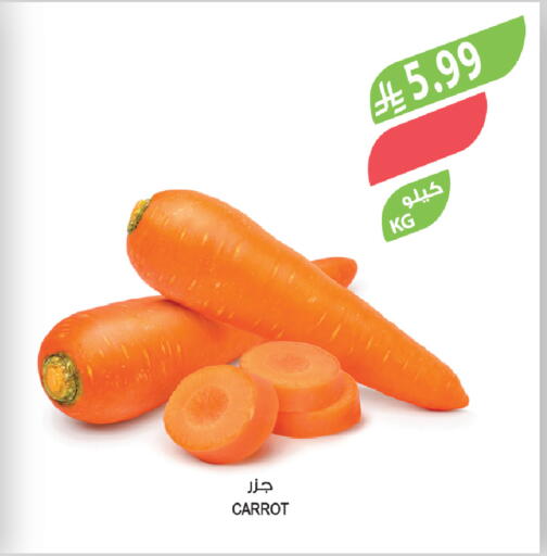 Carrot available at المزرعة in مملكة العربية السعودية, السعودية, سعودية - ينبع