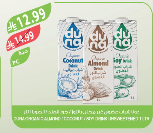 Coconut available at Farm  in KSA, Saudi Arabia, Saudi - Tabuk