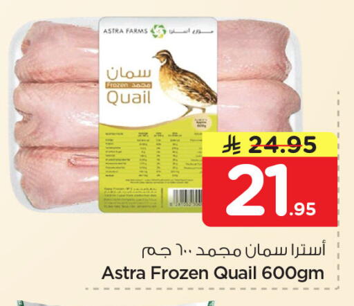 available at نستو in مملكة العربية السعودية, السعودية, سعودية - المنطقة الشرقية