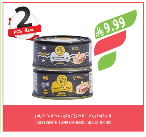 available at المزرعة in مملكة العربية السعودية, السعودية, سعودية - تبوك