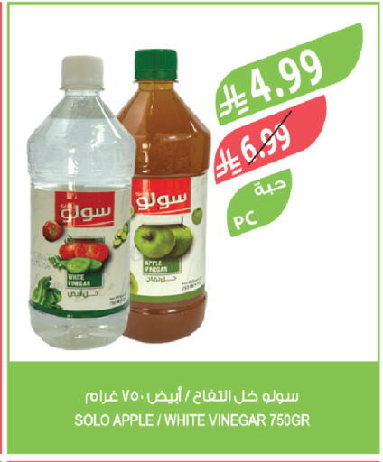Apple available at Farm  in KSA, Saudi Arabia, Saudi - Yanbu