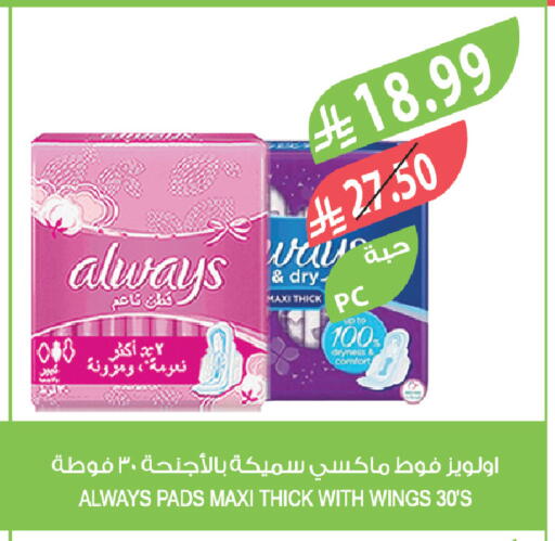 available at Farm  in KSA, Saudi Arabia, Saudi - Tabuk