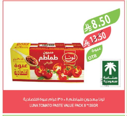 Tomato available at Farm  in KSA, Saudi Arabia, Saudi - Tabuk