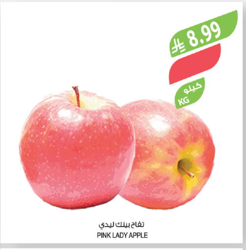 Apple available at Farm  in KSA, Saudi Arabia, Saudi - Yanbu