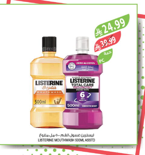 Mint available at المزرعة in مملكة العربية السعودية, السعودية, سعودية - تبوك