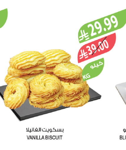 Vanilla available at المزرعة in مملكة العربية السعودية, السعودية, سعودية - تبوك