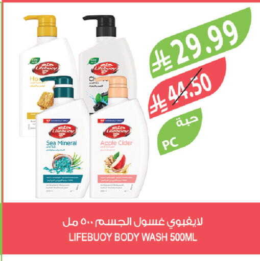 Apple available at المزرعة in مملكة العربية السعودية, السعودية, سعودية - تبوك