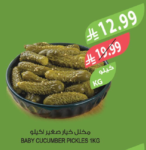 Cucumber available at المزرعة in مملكة العربية السعودية, السعودية, سعودية - ينبع
