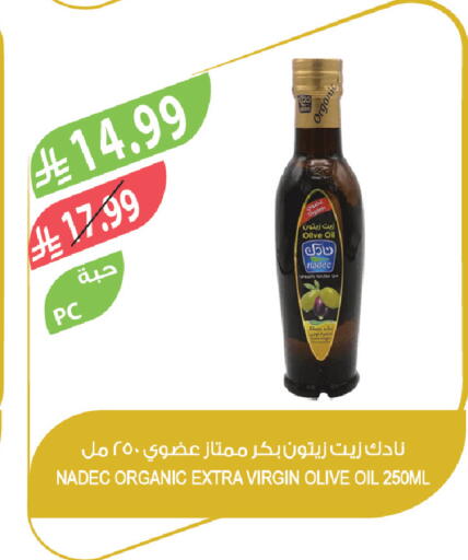 available at المزرعة in مملكة العربية السعودية, السعودية, سعودية - تبوك