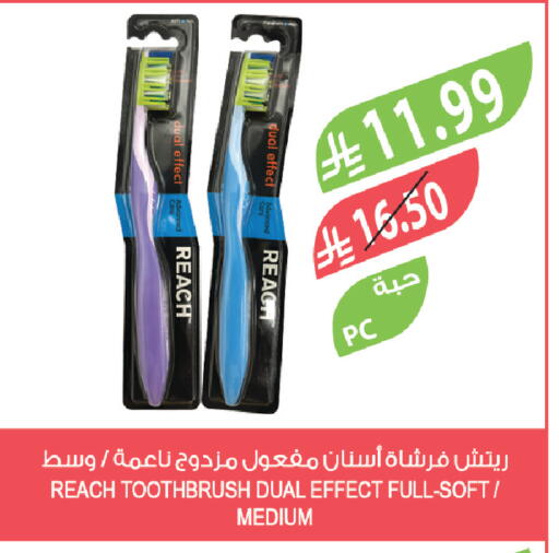 available at المزرعة in مملكة العربية السعودية, السعودية, سعودية - تبوك