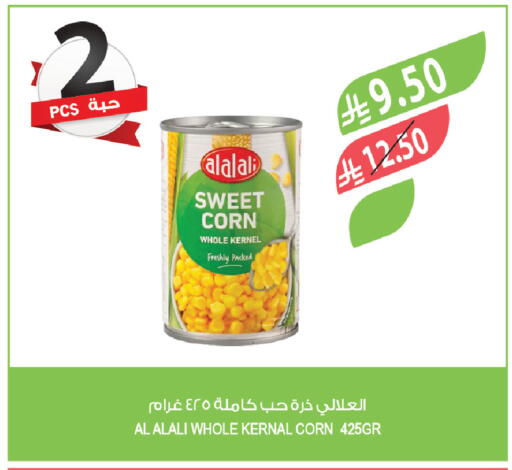 available at Farm  in KSA, Saudi Arabia, Saudi - Abha