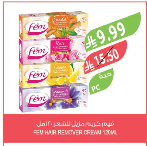 Lemon available at Farm  in KSA, Saudi Arabia, Saudi - Tabuk