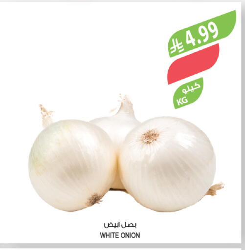 Onion available at المزرعة in مملكة العربية السعودية, السعودية, سعودية - ينبع